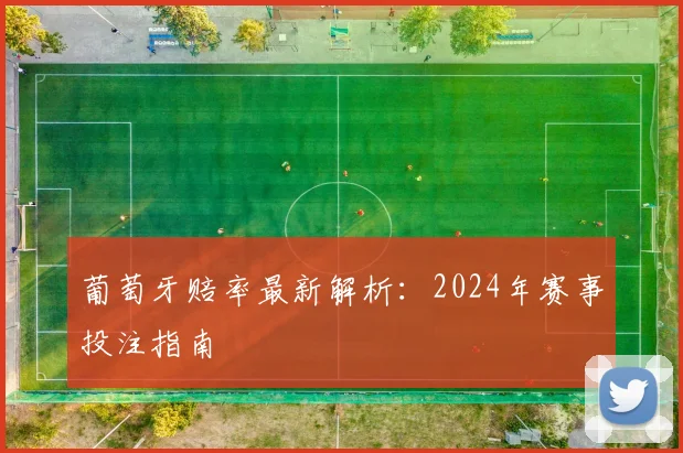 葡萄牙赔率最新解析：2024年赛事投注指南