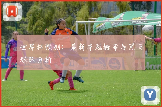 世界杯预测：最新夺冠概率与黑马球队分析